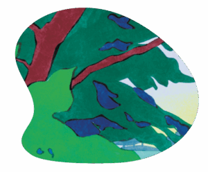 zoom_visuel_p17